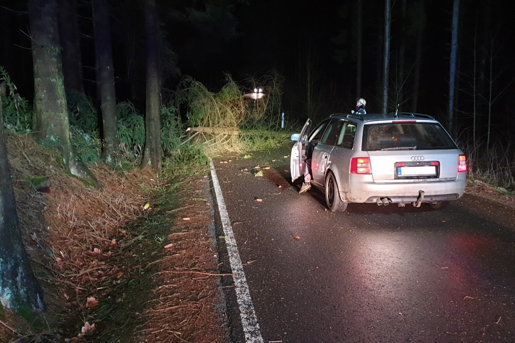 2019.03.10 Baum über Fahrbahn – Kopie