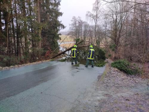 01_IMG_20220216_163627_1