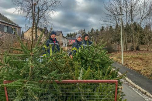 Foto 11.01.20, 10 40 10