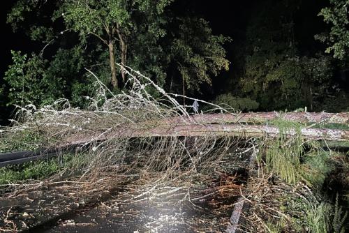 Foto 22.06.23, 22 31 51