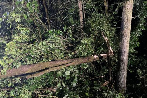 Foto 22.06.23, 22 59 42