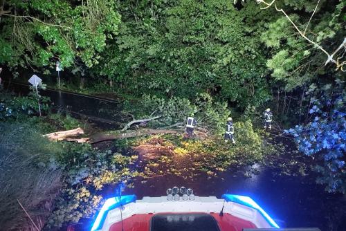 IMG_20230621_012602_1