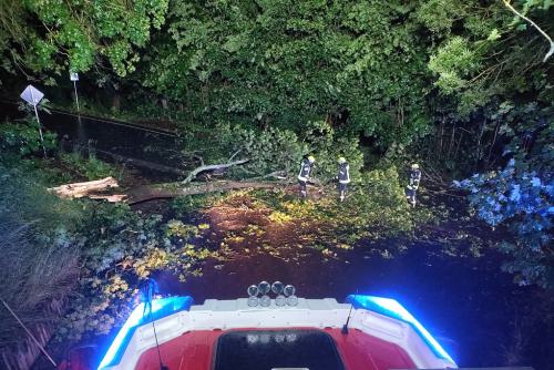 IMG_20230621_012607_1