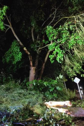 IMG_20230621_012719_1