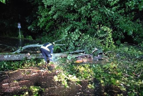 IMG_20230621_012726_1