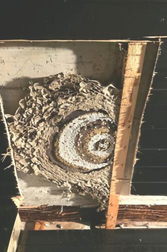 WhatsApp Image 2019-07-28 at 20.18.57