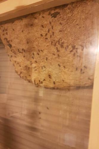 WhatsApp Image 2019-07-28 at 20.20.22