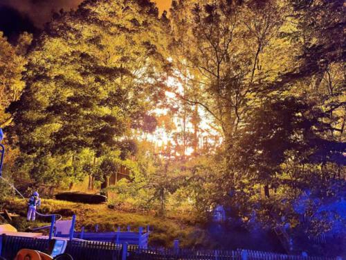 media.media.4655c978-3253-42c7-adc0-1b1e2ccef64c.original1024